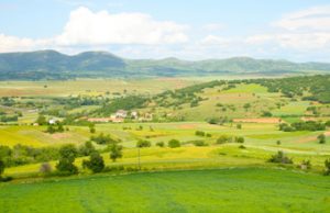 Lukmore Monogram - Land and buildings required